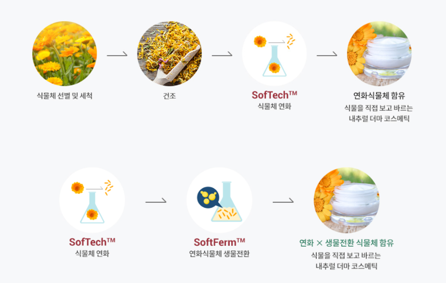 [2021-12-27  에이빙뉴스] 라피끄, Try Everything 2021서 '식물체 연화기술(SofTech)' ...